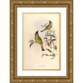 thumbnail image 1 of CAG 13x18 Gold Ornate Wood Framed with Double Matting Museum Art Print Titled - Spizixos Canifrons, 1 of 4
