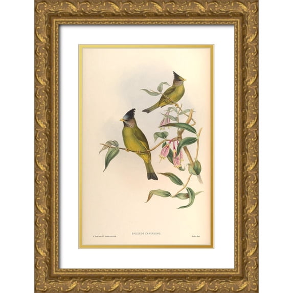 CAG 13x18 Gold Ornate Wood Framed with Double Matting Museum Art Print Titled - Spizixos Canifrons