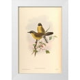 thumbnail image 1 of CAG 13x18 White Modern Wood Framed Museum Art Print Titled - Garrulax Galbanus, 1 of 4
