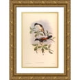 thumbnail image 1 of CAG 22x32 Gold Ornate Wood Framed with Double Matting Museum Art Print Titled - Lioptila Annectans, 1 of 4