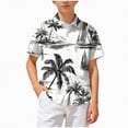 thumbnail image 1 of CAICJ98 Boy's Hawaiian Shirt Tropical Beach Short Sleeve Kids Casual Summer Shirt (Black,9-10 Years), 1 of 6