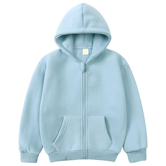CAICJ98 Kids Soft Brushed Fleece Hooded Sweatshirt Kids Toddler Zip Up Hoodie for Boys or Girls Blue,2-3 Years
