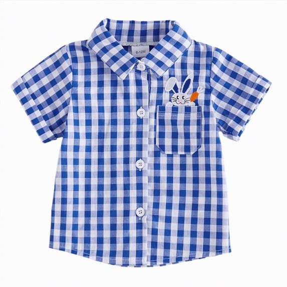 CAICJ98 Toddler Baby Boy Easter Outfit Carrot/Bunny Embroidery Plaid Print Short Sleeve Button Down Shirt Spring Summer Clothes (Blue,2-3 Years)