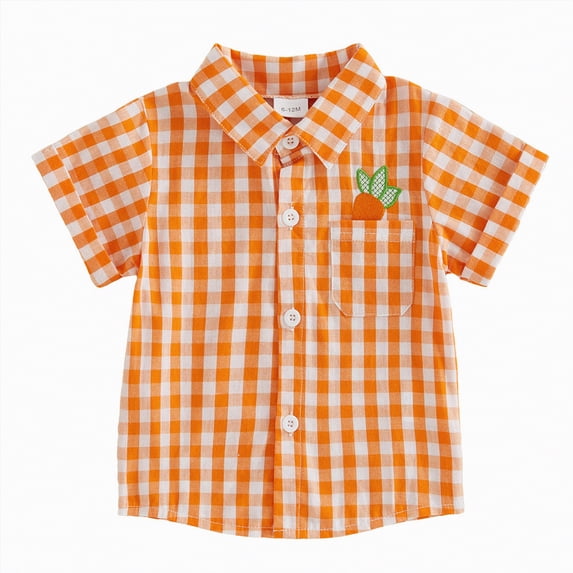 CAICJ98 Toddler Baby Boy Easter Outfit Carrot/Bunny Embroidery Plaid Print Short Sleeve Button Down Shirt Spring Summer Clothes (Orange,2-3 Years)