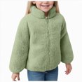 thumbnail image 1 of CAICJ98 Toddler Baby Girls Boys Fleece Jacket Little Kids Polar Fleece Zipper Jacket Soft Fall Winter Warm Outerwear With Pockets (Light Green,12-18 Months), 1 of 5