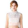thumbnail image 1 of CAILDANL Lace False Collar, Women Detachable Fake Collar Fake Collar for Blouse Hoodie Sweater Coat, 1 of 7