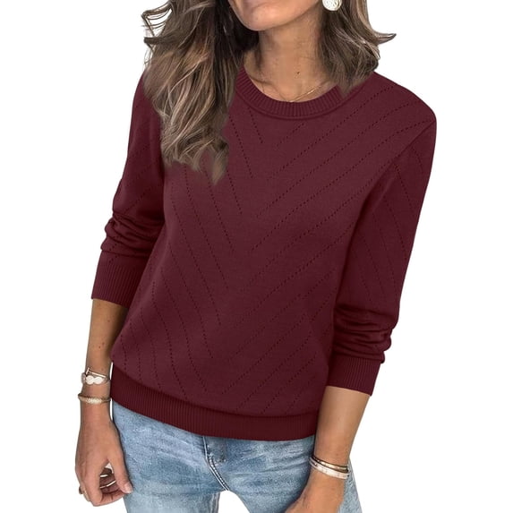 CAILDANL Sampeel Womens Sweaters Crew Neck Long Sleeve Tops Knit Soft Pullover Sweaters Cozy Dressy Casual Shirts Fashion Clothing