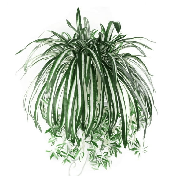 CAIMYY Variegated Hanging Chlorophytum Plant - Realistic DIY Greenery for Wall Decor Wedding Arch Vertical Garden Cafe Storm Proof Year-Round Vibrant No Watering Needed
