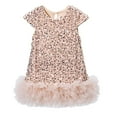 thumbnail image 1 of CAIVO Child Casual Dresses Mesh Party Dress For Girls Elegant Tutu Dress With Sequin Applique Celebration Versatile Short Sleeve O-Neck Sundress, 1 of 3