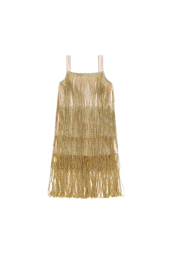 Girls Flapper Dress Sequins Fringe Latin Dance Dress Tassel Tango Dress Cozy Toddler Child Daily Wear