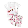 thumbnail image 1 of CAIXIA Baby 2 Piece Sets Girls Summer Casual Play Set Featuring Adorable Cartoon Horse Print Short Sleeve Top and Shorts for Toddler Kids Daily Outdoor Wear,9-10 Years, 1 of 6
