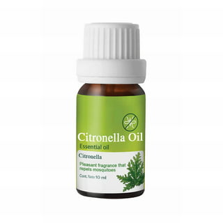 NOW® Essential Oils Citronella Oil, 4 fl oz - Kroger