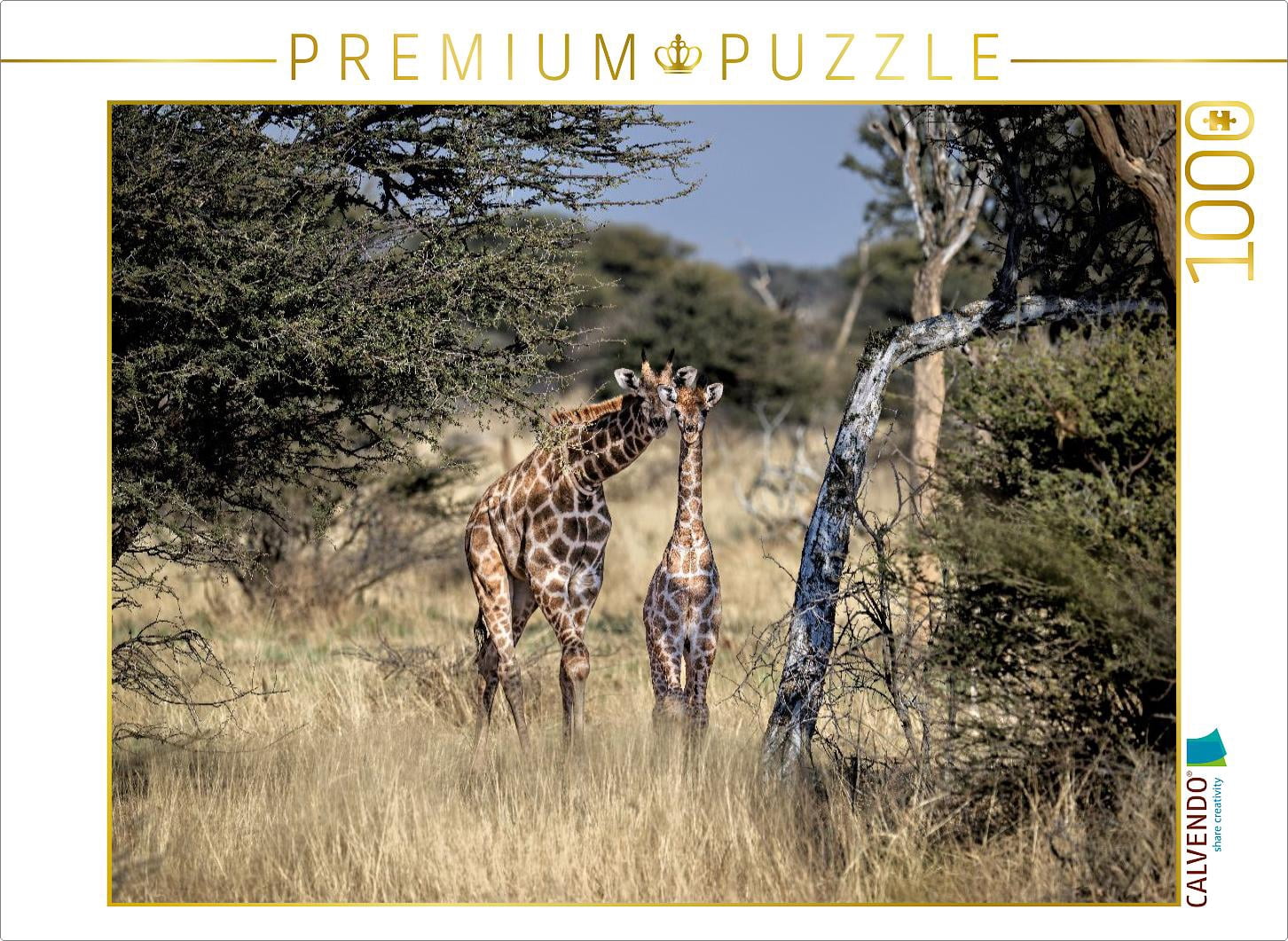 CALVENDO Puzzle Giraffes in the savannah | 1000 pieces, finished size ...