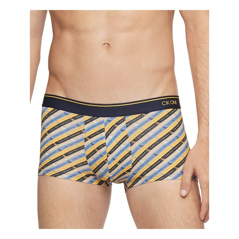 Striped calvin hotsell klein underwear