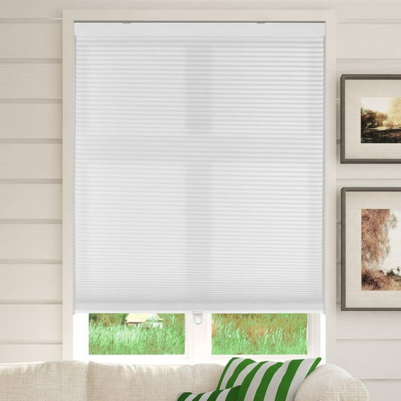 CALYX INTERIORS Cellular Honeycomb Shade, Light Filtering, Cordless, 3/8" Single Cell, 22.5"W x 48"H, White