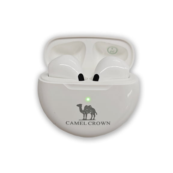 CAMEL CROWN Wireless In Ear Earbuds with Charging White