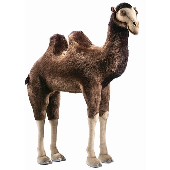 CAMEL RIDE-ON 37''