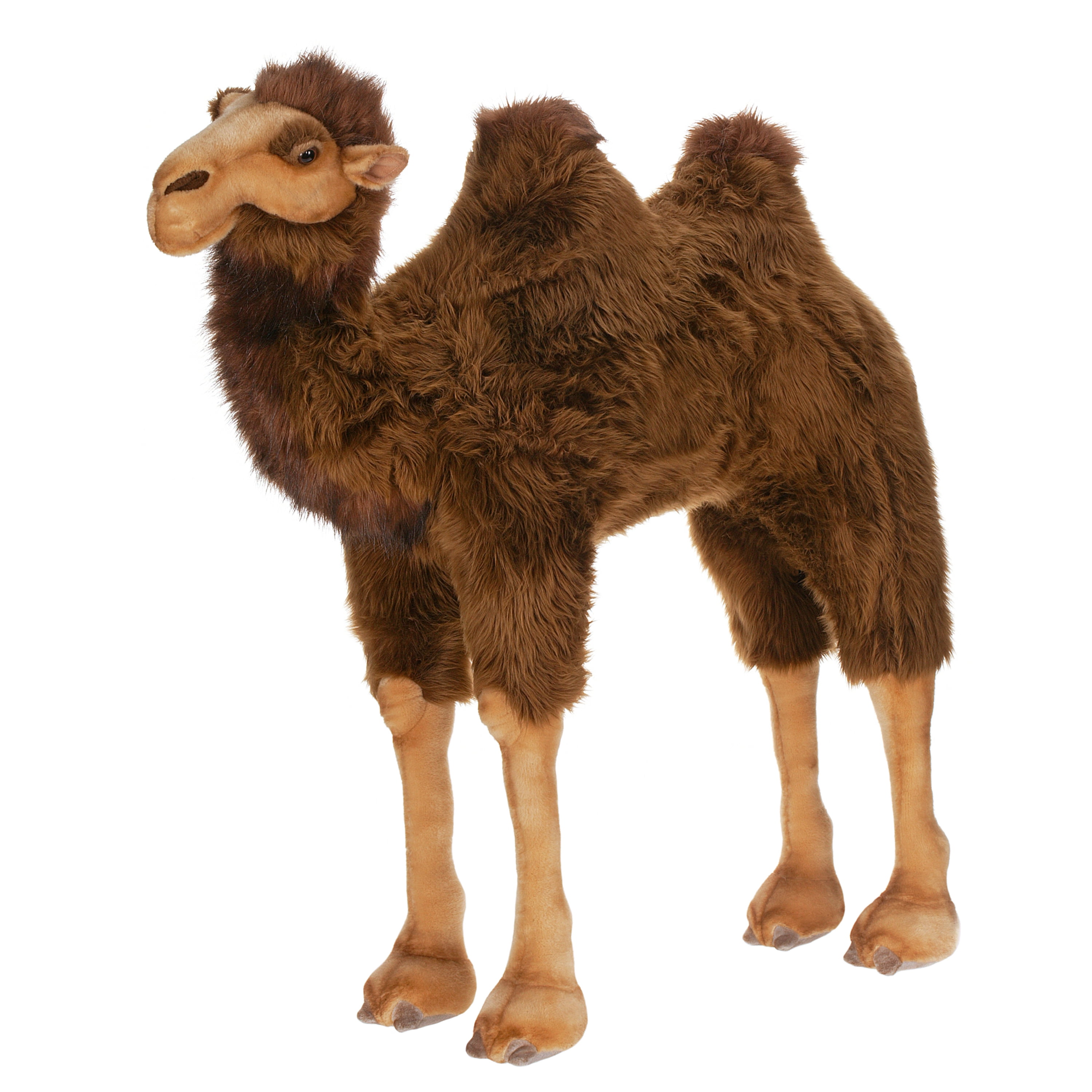 CAMEL RIDE ON 37 Walmart