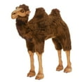 thumbnail image 1 of CAMEL RIDE-ON 37'', 1 of 1