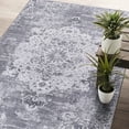 thumbnail image 1 of CAMILSON Machine Washable Rug, Distressed Vintage Area Rugs, Stain and Water Resistant, Traditional Bohemian Indoor Carpet (5x7, Grey), 1 of 10