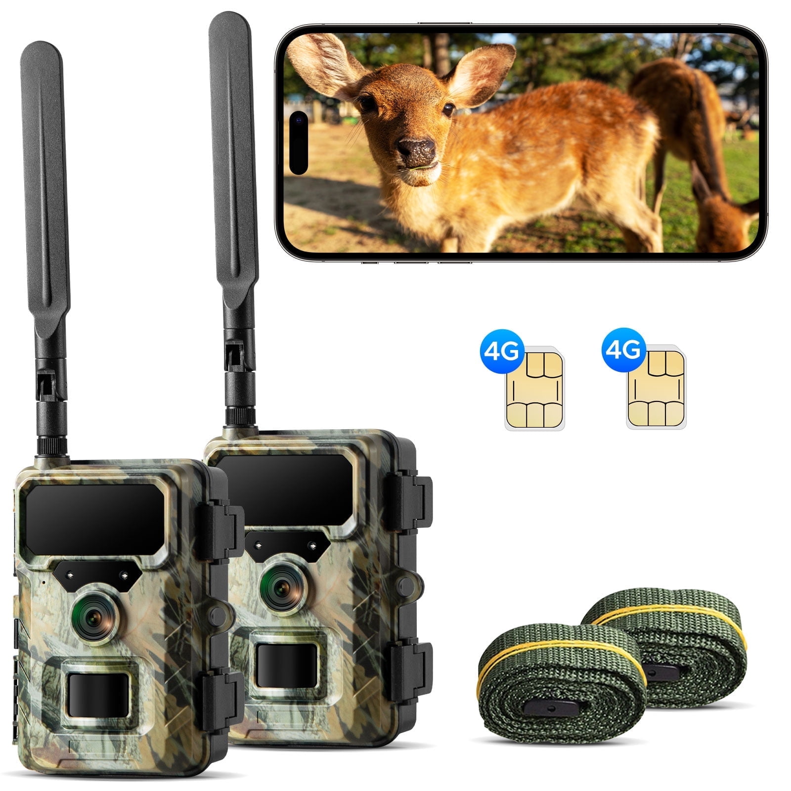 Wide Angle Campark T45a Trail Camera Manual CAMPARK Pack T45 1080P