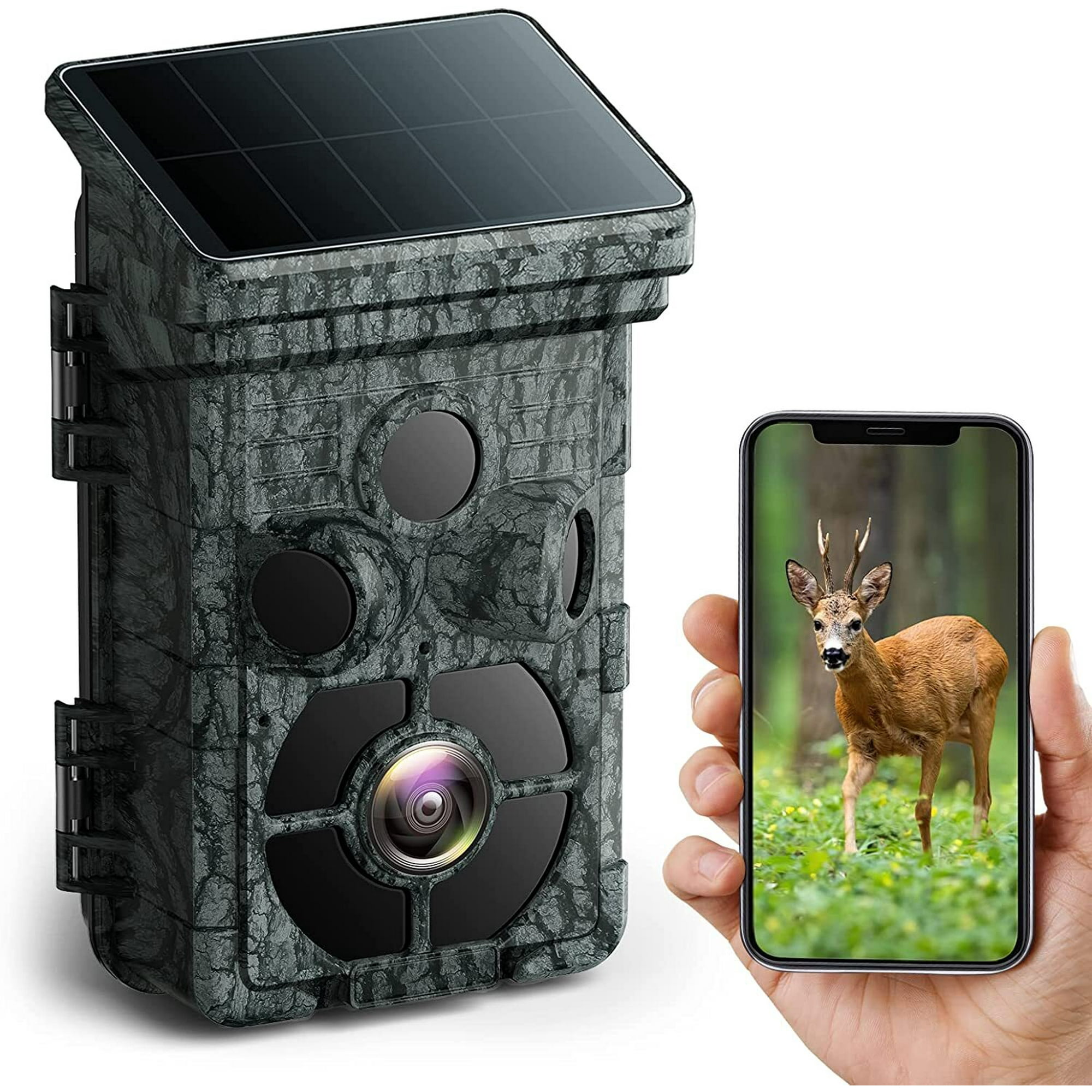 zoom microscope camera