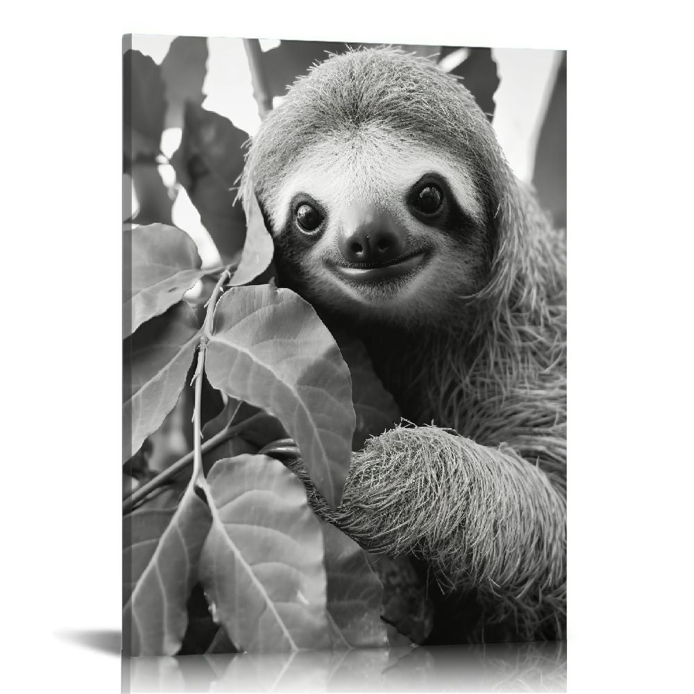 CANFLASHION Black and White Sloths Wall Art Canvas Wildlife Wall Decor