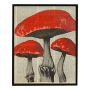 CANFLASHION  Vintage Mushroom Poster - Mushroom Wall Decor, Retro Mushroom Wall Art Prints, Cottagecore Room Decor Aesthetic, Earthy Dictionary Mushroom Picture for Home Bedroom