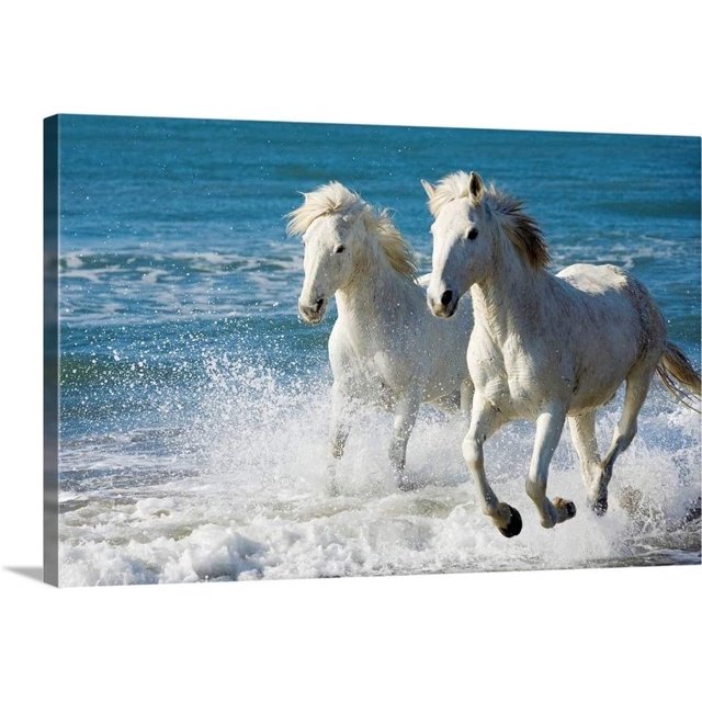 CANVAS ON DEMAND Camargue Horses Running On the Beach, South of France