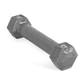 Shop 3lb Dumbbells and Weights for Fitness and Strength Training
