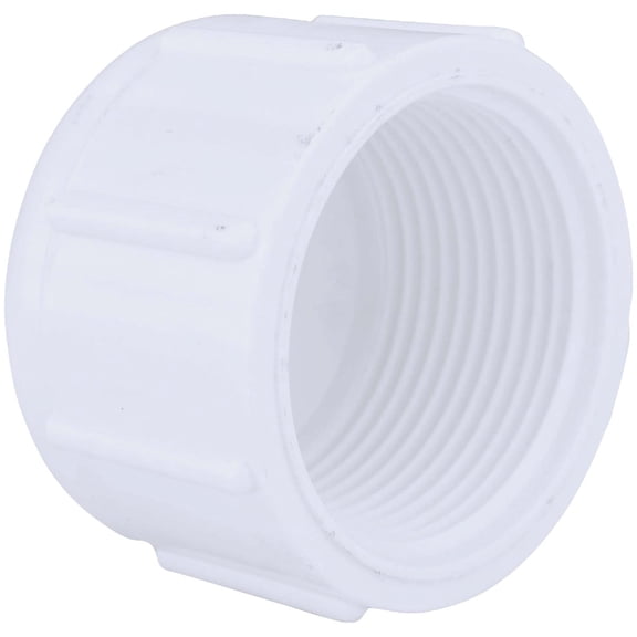 Charlotte Pipe PVC Cap Female Pipe Threaded Sch40 - 1-1/4 In, White  Residential Use, Standard Application