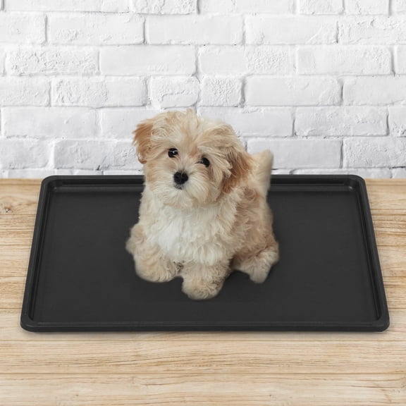 CAPHAUS 22.7" Replacement Tray for 24” Dog Crate, Durable, Multi-Purpose Plastic Bottom Pan for Pet Kennels, Easy to Clean & Install