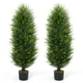 thumbnail image 1 of CAPHAUS 4 FT, 48 Inch Artificial Cedar Tree set of 2, Natural Faux Plants for Outside Planter, UV Resistant, Fake Boxwood Topiary w/ Dried Moss, Artificial Tree Indoor, Outdoor Patio Decor, 1 of 9