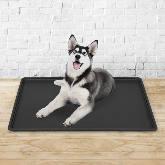 CAPHAUS 40.9" Replacement Tray for 42” Dog Crate, Durable, Multi-Purpose Plastic Bottom Pan for Pet Kennels, Easy to Clean & Install