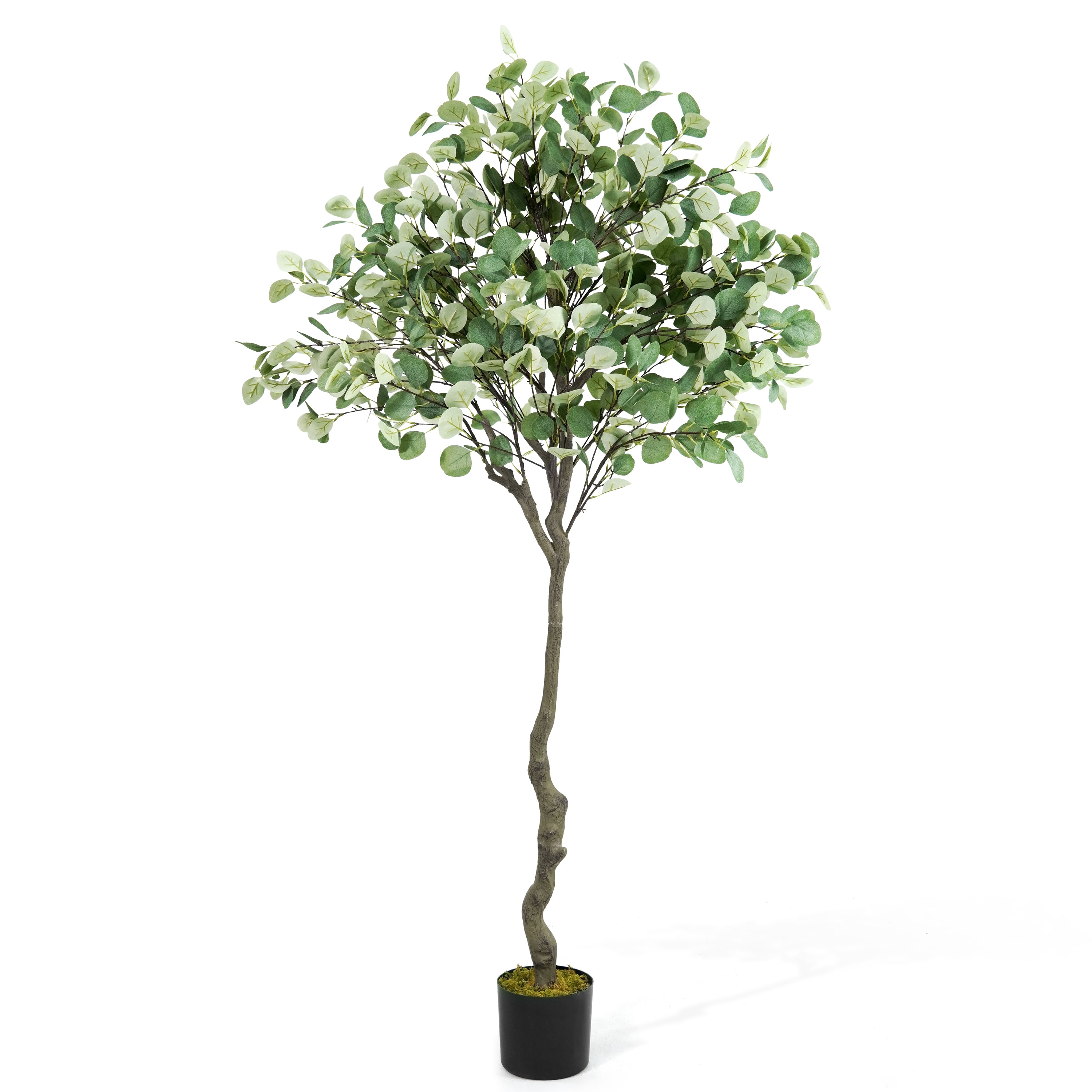 CAPHAUS 6 Feet, 72 Inch Artificial Eucalyptus Tree, Natural Large Faux Plants Indoor/Outdoor Patio, Home Décor, UV Resistant Artificial Outdoor Plants, Fake Greenery in Pot with Dried Moss