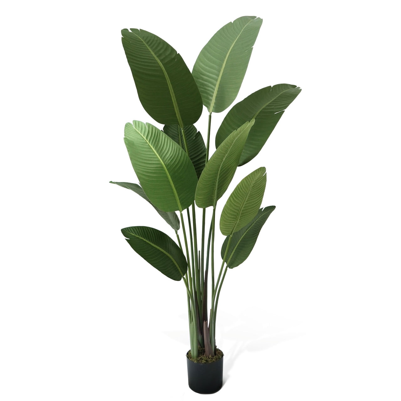 CAPHAUS Artificial Bird of Paradise 5 Feet Plants in 5.1" Planter (10 Count), Durable & Maintenance