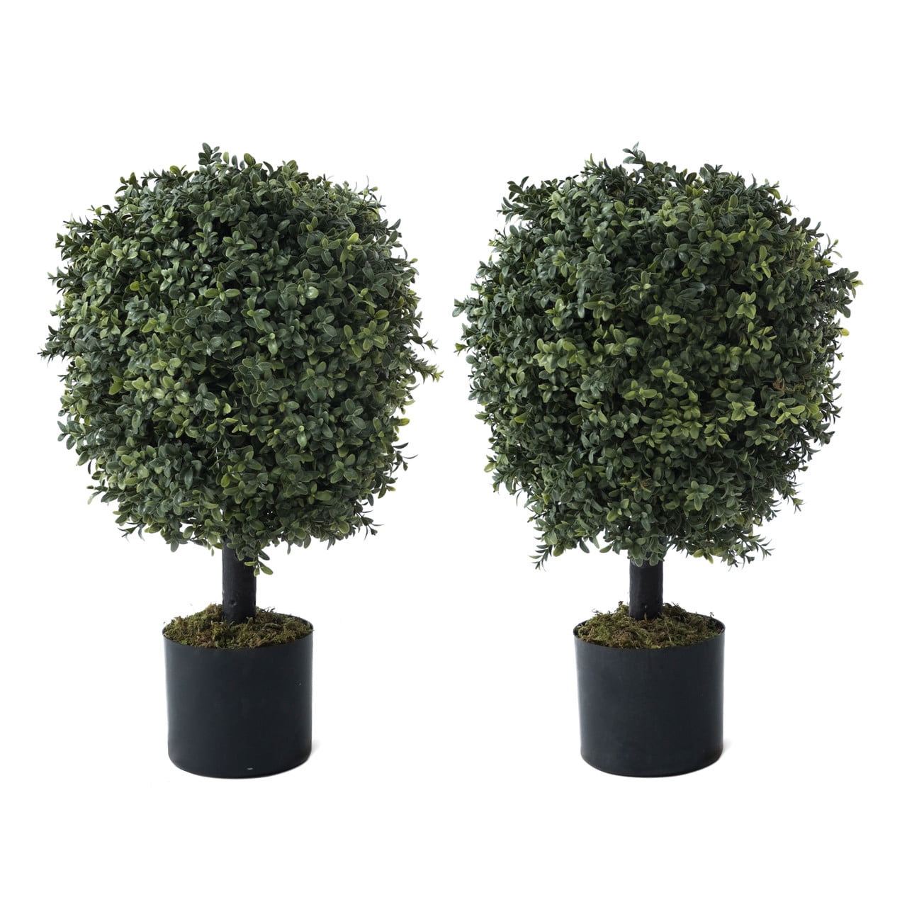 Set of 2 Green Artificial Boxwood Topiary Trees in Black Pots