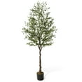 thumbnail image 1 of CAPHAUS Artificial Olive Tree, 5 / 6 / 7 Feet Fake Potted Topiary Tree with Dried Moss, Faux Olive Branch and Fruit, Faux Plant in Pot for Indoor Home Office Modern Decoration Gift for Housewarming, 1 of 9