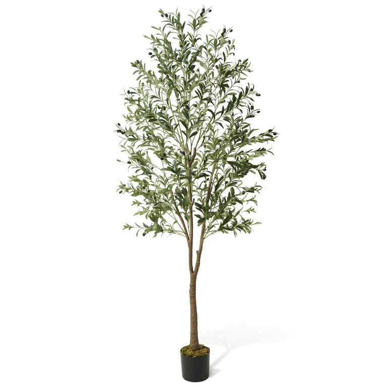 CAPHAUS Artificial Olive Tree, 5 / 6 / 7 Feet Fake Potted Topiary Tree with  Dried Moss, Faux Olive Branch and Fruit, Faux Plant in Pot for Indoor Home  Office Modern Decoration