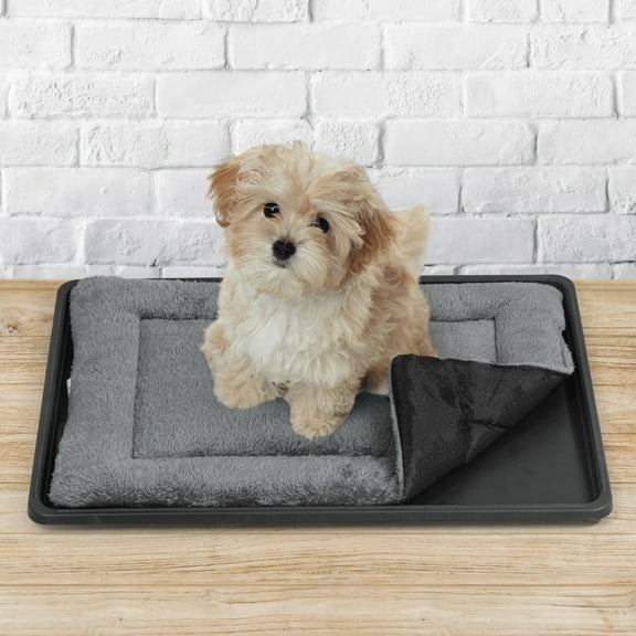 CAPHAUS Dog Pad with Tray for 24-Inch Crate, Mat with Non-Slip Bottom, Durable Plastic Tray and Machine-Washable Flat Dog Bed for Easy Cleaning