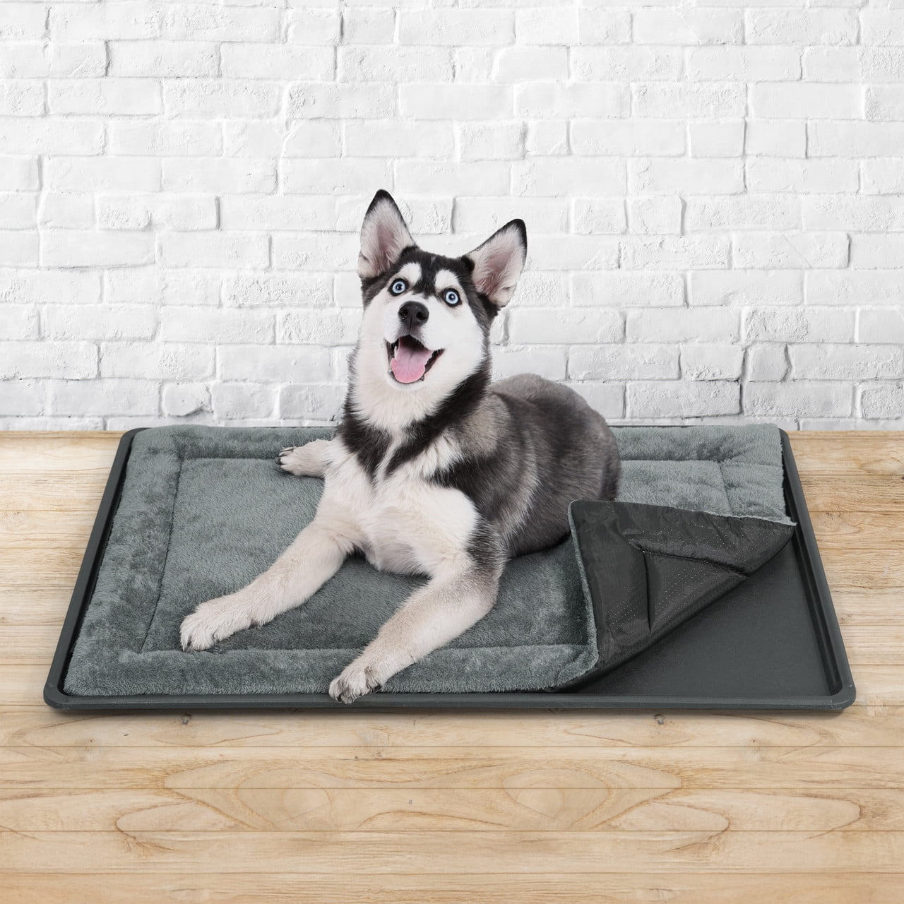 CAPHAUS Dog Pad with Tray for 42-Inch Crate, Mat with Non-Slip Bottom, Durable Plastic Tray and Machine-Washable Flat Dog Bed for Easy Cleaning