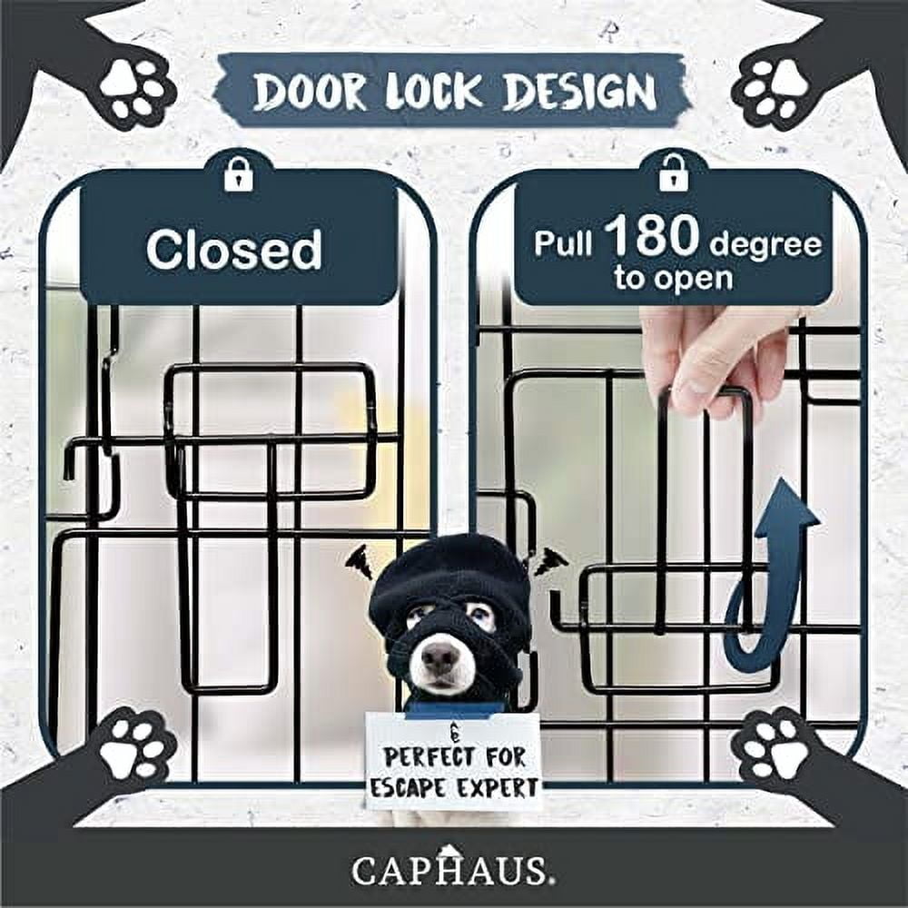 Picture of CAPHAUS Foldable Dog Crate Wire Metal Dog Kennel w/Divider Panel, Leak ...