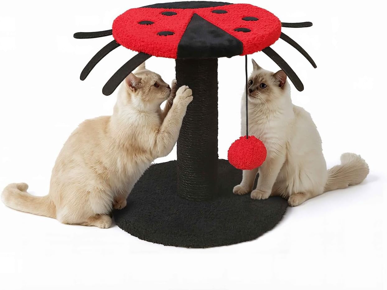 CAPHAUS Lady Bug-Style Cat Scratching Post, Cat Scratcher with Sisal Rope and Interactive Hanging Ball, 10 Inch Scratching Post for Indoor Cats and Kittens