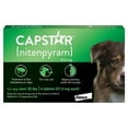 CAPSTAR FastActing Oral Flea Treatment for Large Dogs (over 25 lbs), 6
