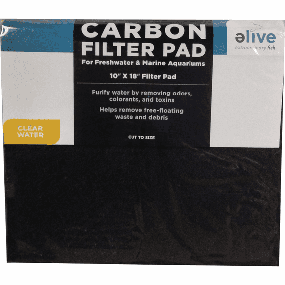 Carbon Filter Pad 10X18 Inch