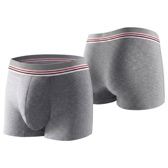 CARER Mens Incontinence Boxer Briefs 2 Pack Gray Heavy Absorbency Leakproof Washable Underwear for Bladder Control