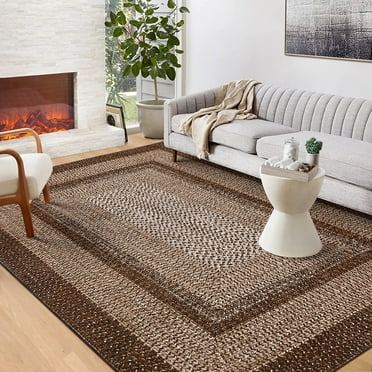 CAROMIO 4' x 6' Modern Rugs for Living Room Imitation Braided Pattern Soft Carpet, Brown