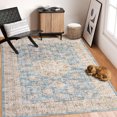 thumbnail image 1 of CAROMIO Rugs for Living Room Washable Rug Vintage Floral Area Rug Soft Indoor Floor Mat Medallion Distressed Print Rug, 5' x 7' Blue, 1 of 6