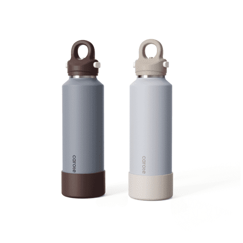 Carote 2-Pack One-Click-Open Insulated Stainless Steel Water Bottle Set, 20 fl oz, Gray & Brown