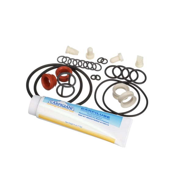 CARPIGIANI ICA5555750 TUNE UP KIT MINOR UC1131P (Genuine OEM Part)